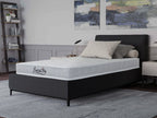 Basics Series Mattress - SINGLE
