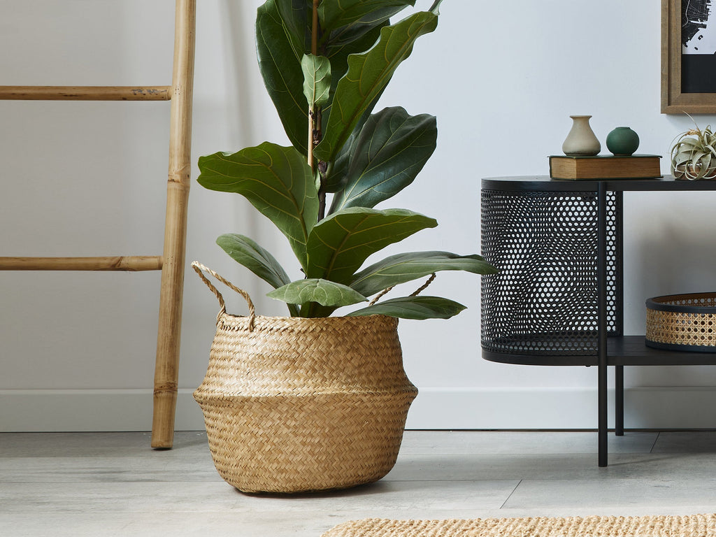 Seagrass Woven Basket Belly Basket - Set of 2 - M/L