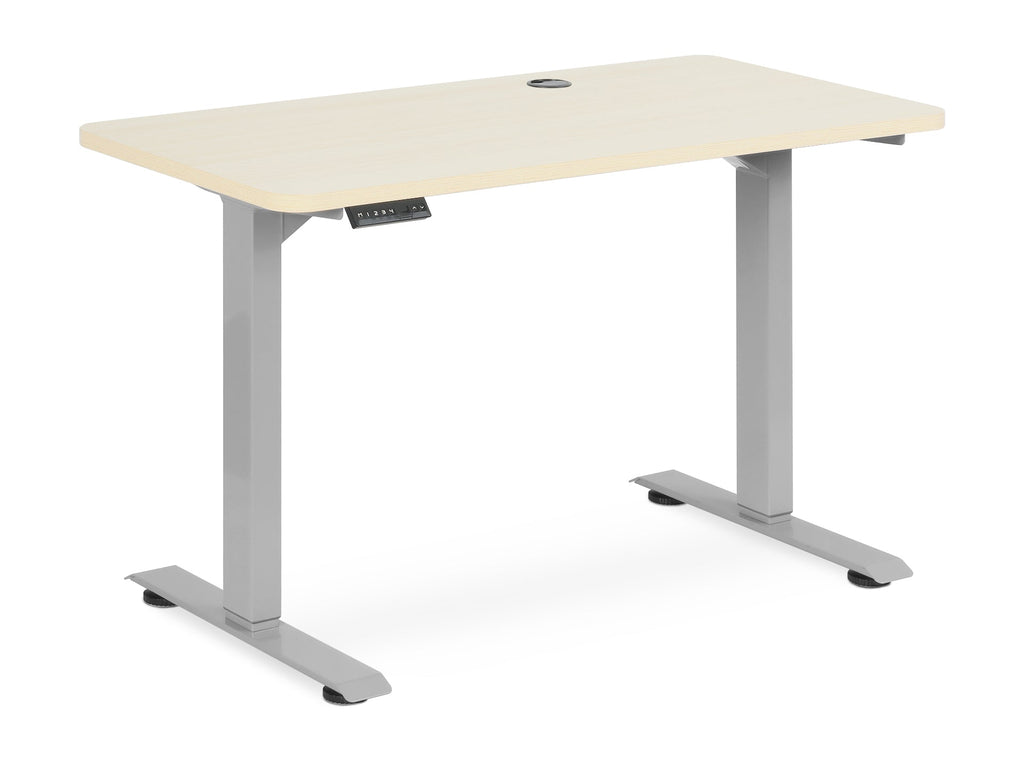 BENNIE 120CM Dual Motor Electric Standing Desk - BEIGE