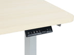 BENNIE 120CM Dual Motor Electric Standing Desk - BEIGE
