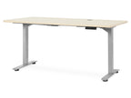 BENNIE 160CM Dual Motor Electric Standing Desk - Beige